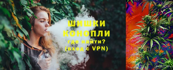 гидра Горнозаводск