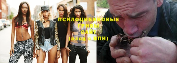 гидра Горнозаводск