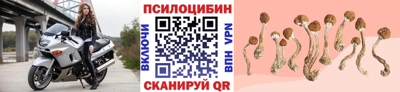 Галлюциногенные грибы Cubensis  Джанкой 